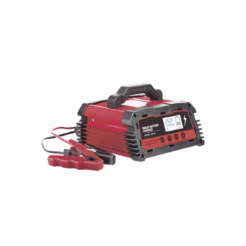 Cargador de Baterías / 12 o 24 Vcc / hasta 250 Ah / 25 A / Display LCD