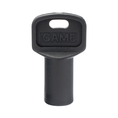 Control  de Acceso  CAME 119-RIY077