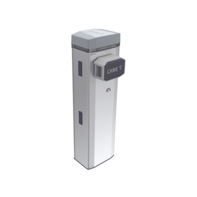 Control  de Acceso  CAME 803BB-0300