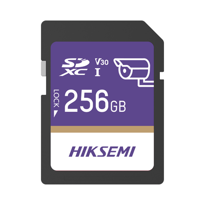 Videovigilancia  HIKSEMI by HIKVISION HS-SD-P10/256G/GUARDPRO