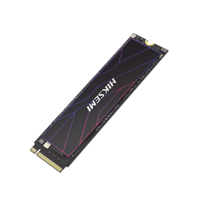Redes e IT HIKSEMI by HIKVISION HS-SSD-FUTURE-LITE/512G