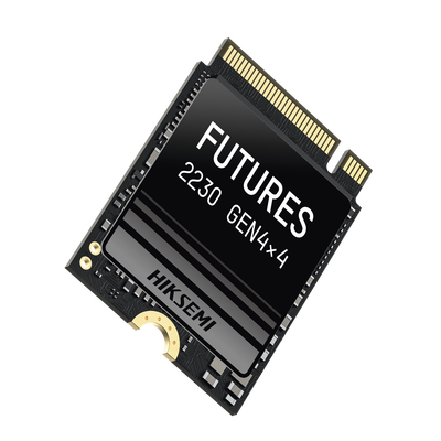 Redes e IT HIKSEMI by HIKVISION HS-SSD-FUTURES/1024G
