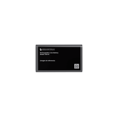 Redes e IT  GRANDSTREAM UGS-01