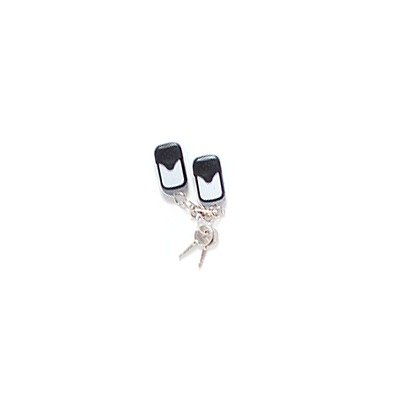 Control  de Acceso  ACCESSPRO XB-PCTL