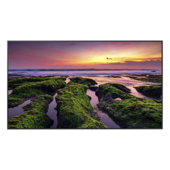 Pantalla LED Profesional / 65 Pulgadas / UHD 4K 3840x2160 / Operación 16/7 / Wi-Fi Dual Band / Bocinas 10 W / VESA 400x300 mm
